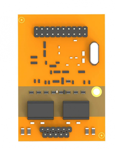 Yeastar - Module 2 ports BRI